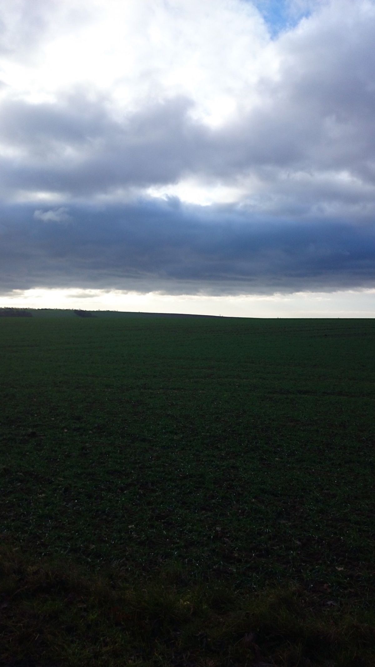 ちょうど行った頃がクリスマスの時期だったので、クリスマスマーケットなども見...