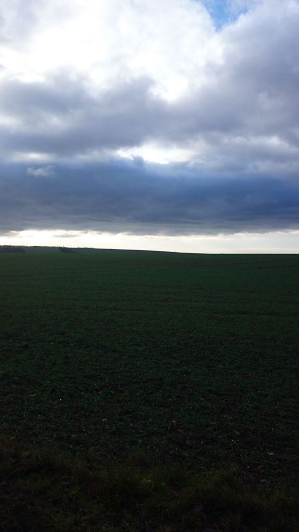 ドイツ「ドイツ旅行」の写真：ちょうど行った頃がクリスマスの時期だった...