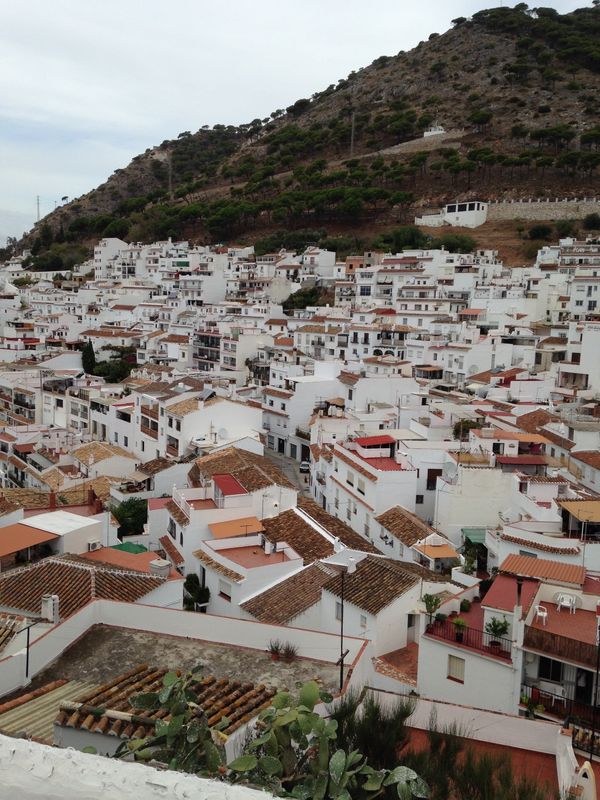 スペイン・バルセロナ「サグラダファミリアを見に行く旅」の写真：サグラダファミリアは圧巻でした！
完成...