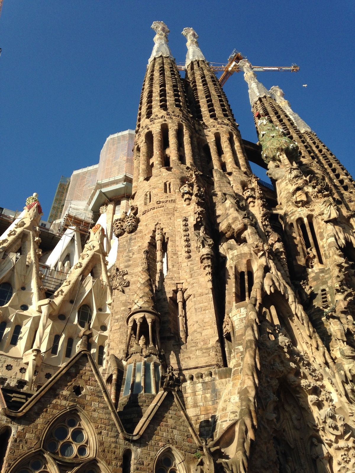 サグラダファミリアは圧巻でした！
完成したらまた行きたいです✨