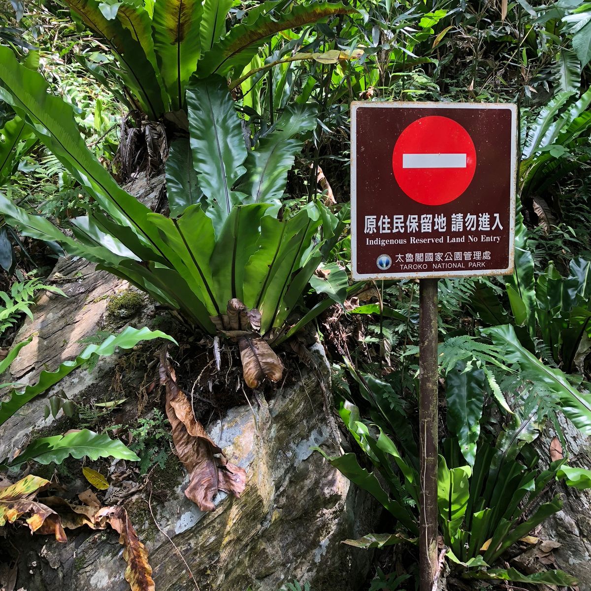 太魯閣峡谷