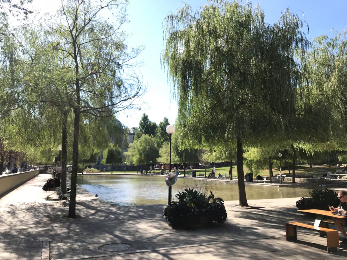 ストックホルム市立図書館。
目の前は緑豊か。
トイレはこのように有料。
カ...