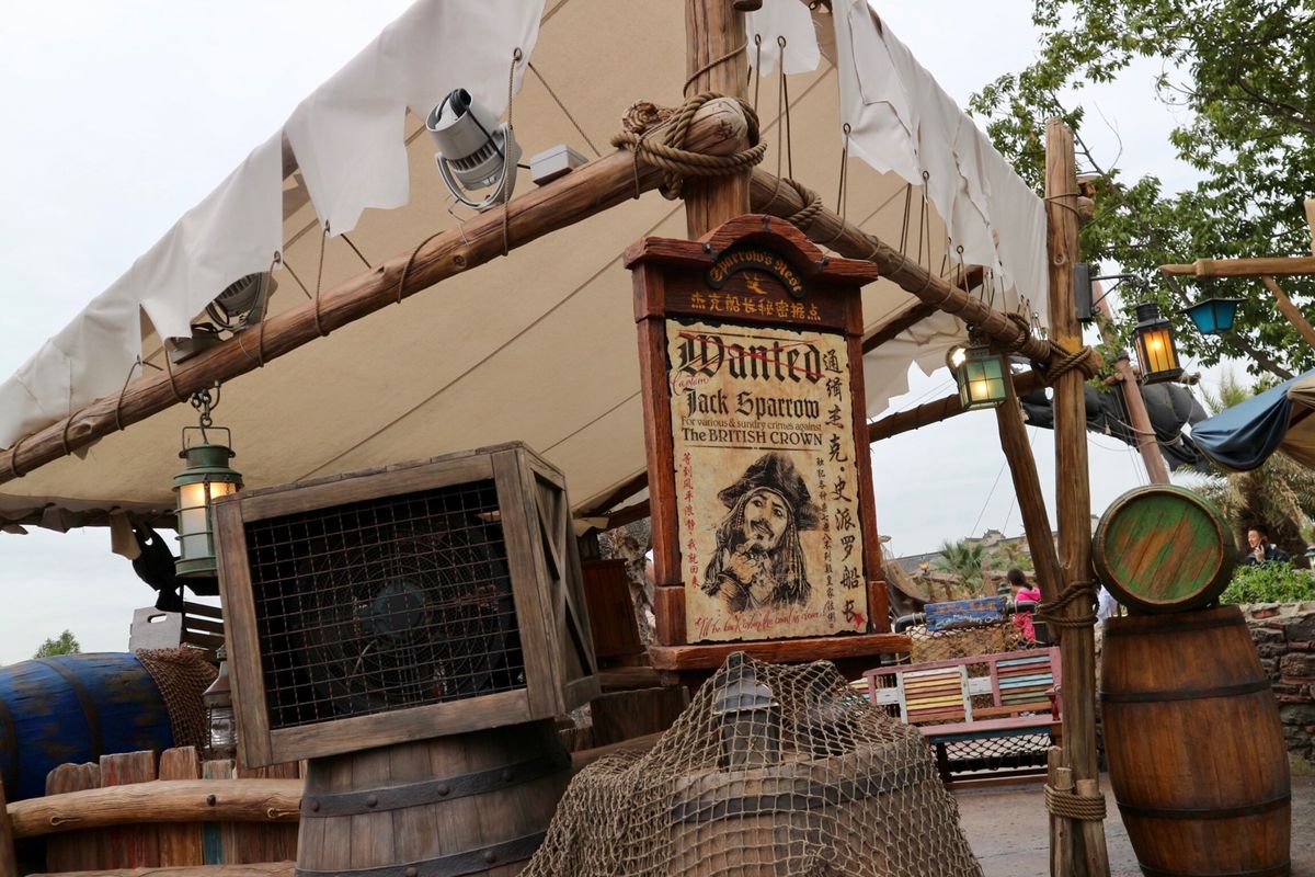 念願の上海ディズニー🐭
日本にはないアトラクションに最新技術で感動の連続...