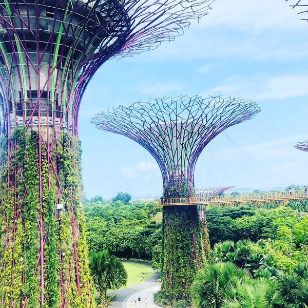 シンガポール「シンガポール満喫❤️🇸🇬」の写真