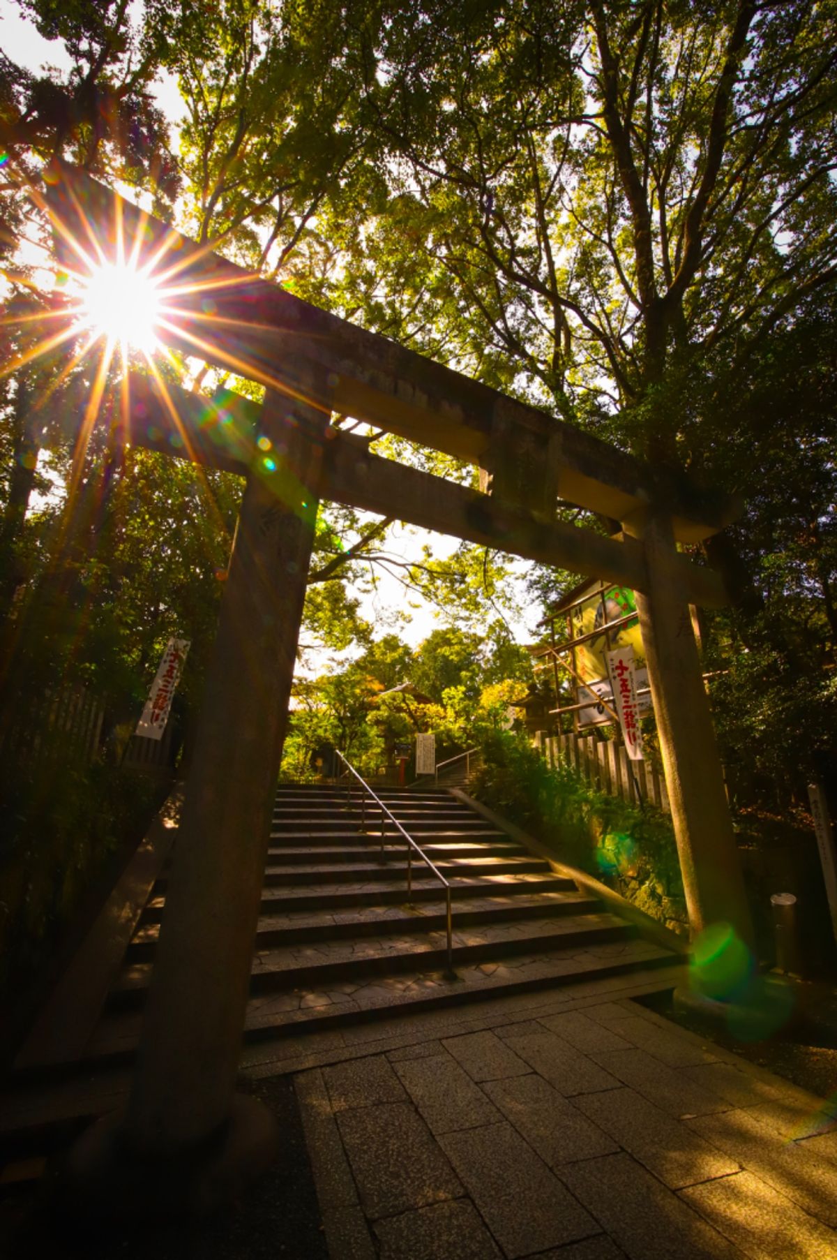 まだ紅葉には早いと思いつつ...。
やっぱり早かった....