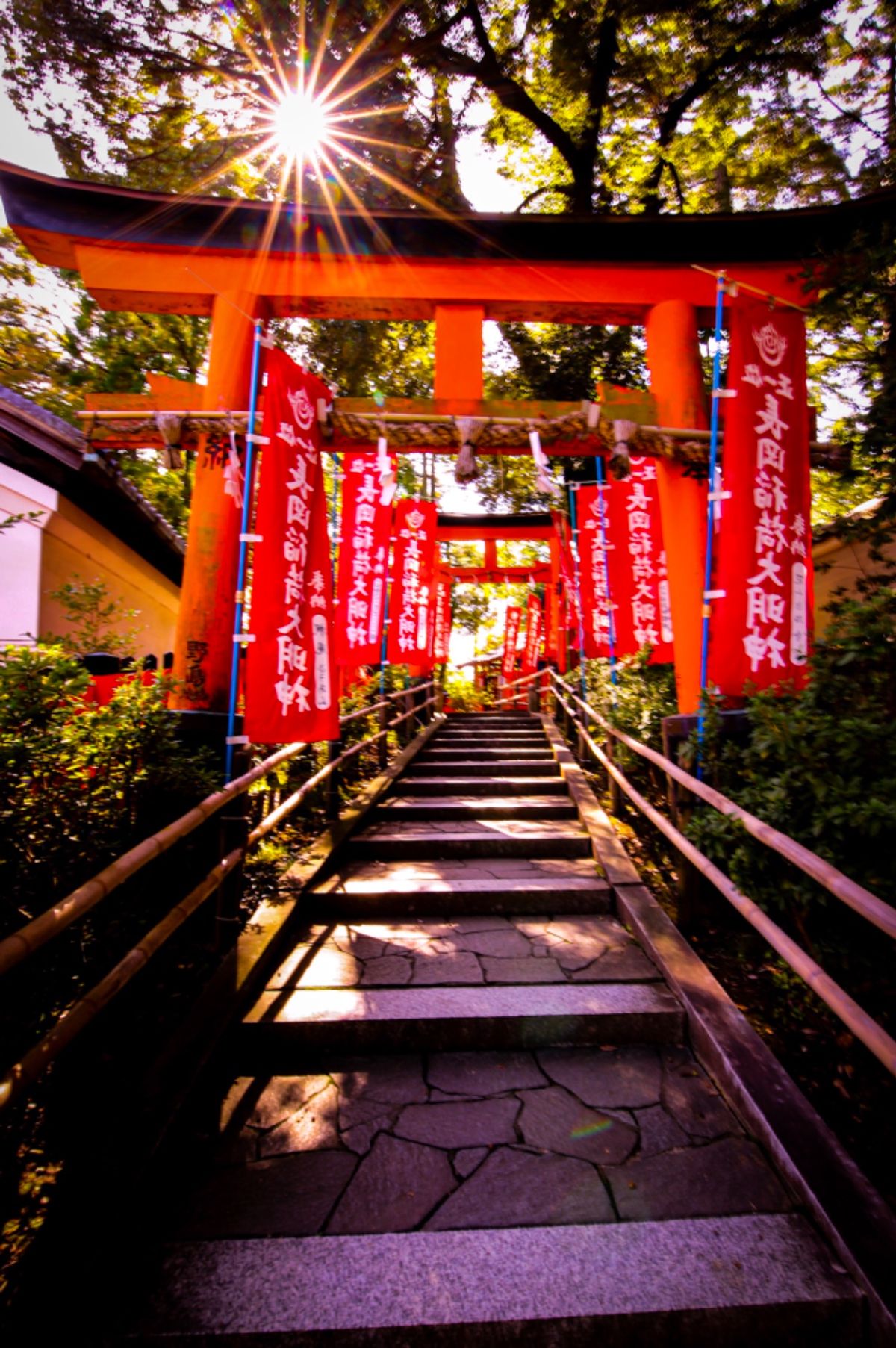 まだ紅葉には早いと思いつつ...。
やっぱり早かった....