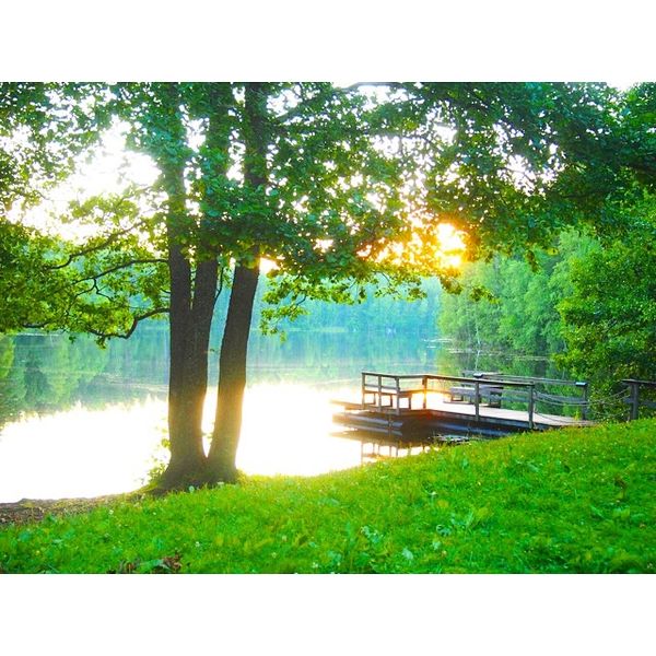 フィンランド・ヘルシンキ 、スオメンリンナ、タンペレ「フィンランド🇫🇮1人旅」の写真：フィンランドの森はほんとに素晴らしくて気...