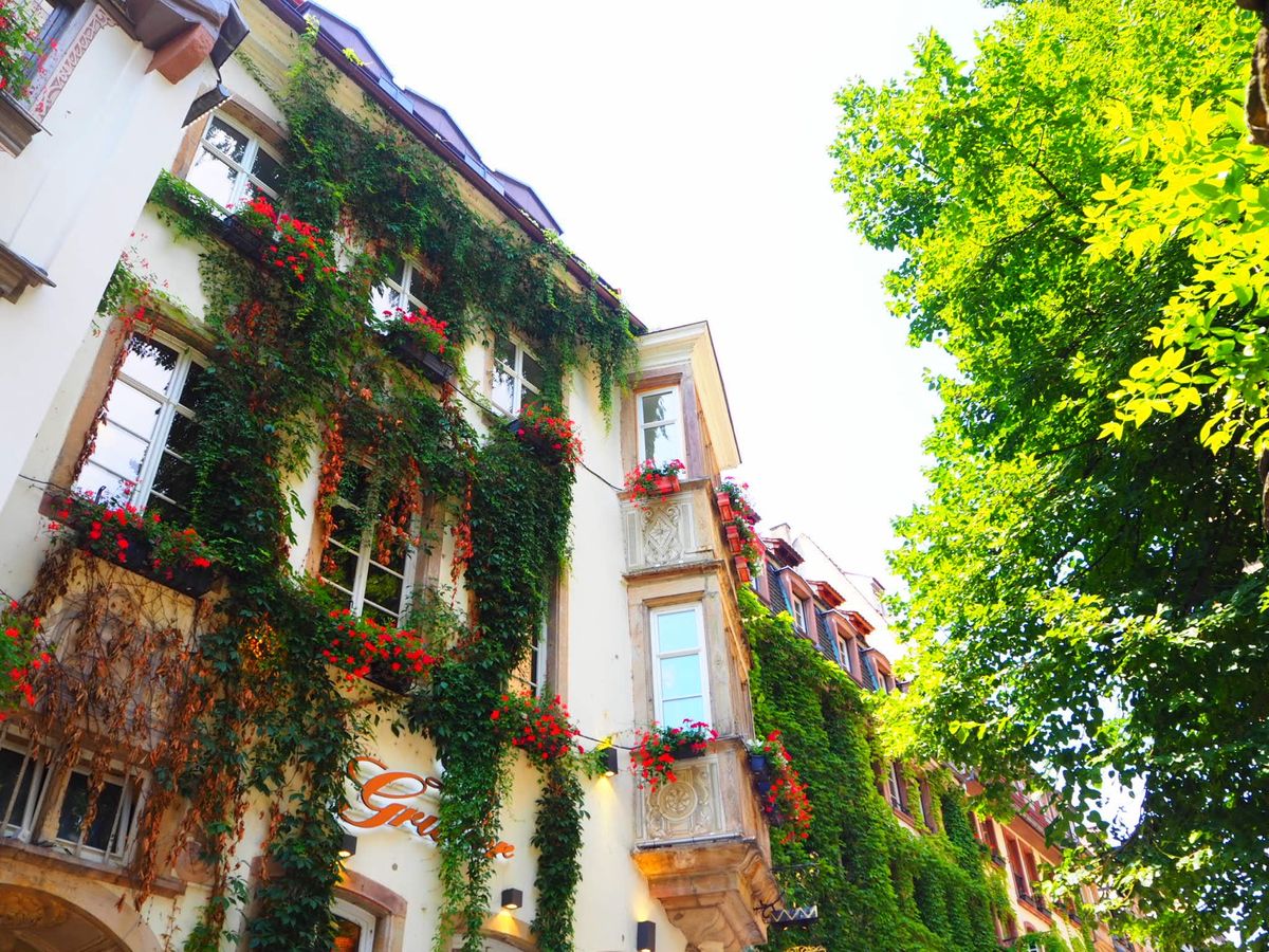 ストラスブール。
どこを歩いても素敵な景色が。
フランスのミルフィーユ美味...