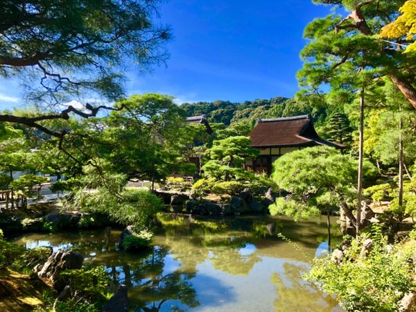 日本・京都「京都旅行①」の写真：銀閣寺
世界遺産です！自然の中に建築が溶...