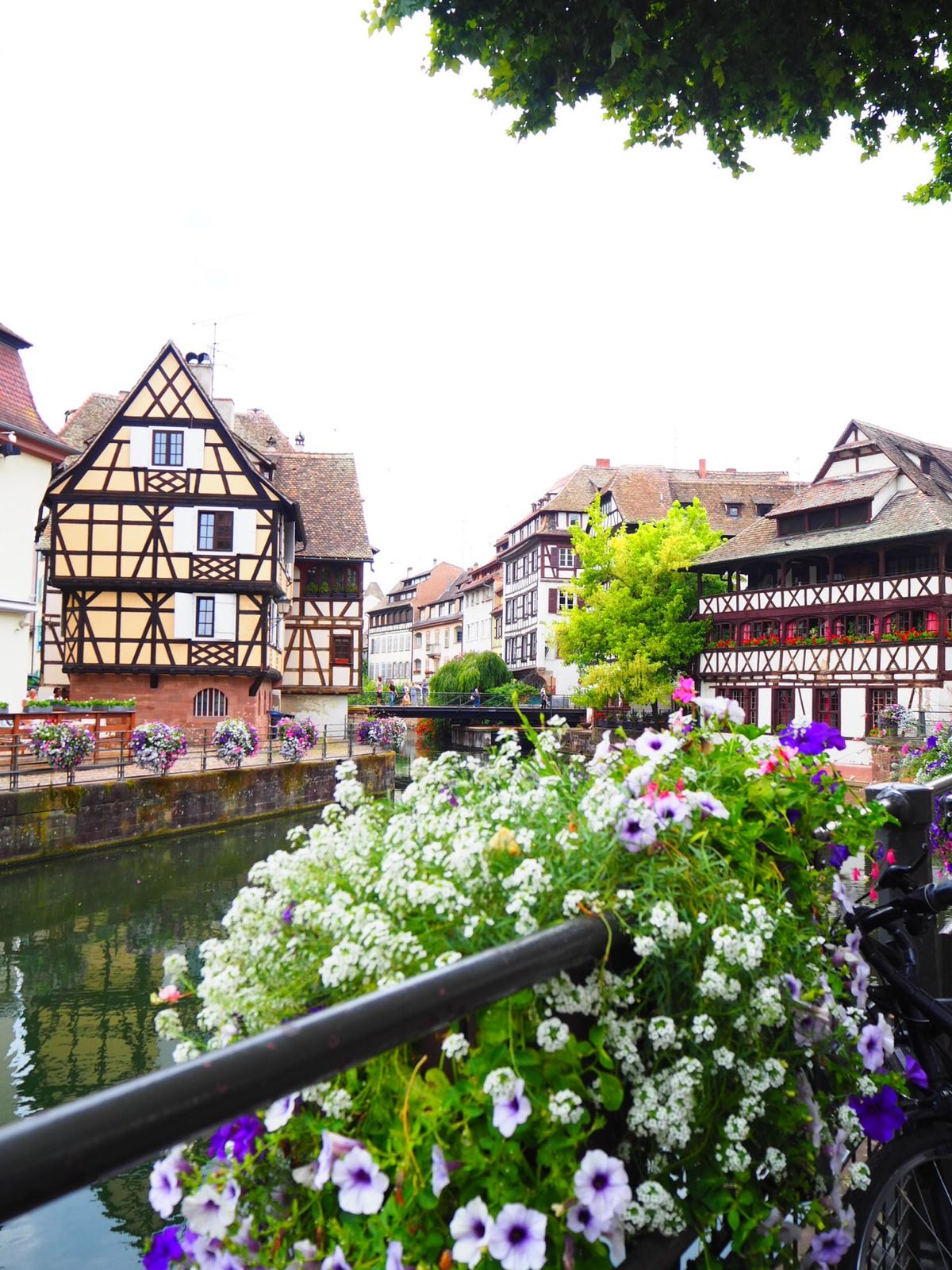 〜ストラスブール〜

ひたすらシャッターを押していたような。
ただ今年はほ...