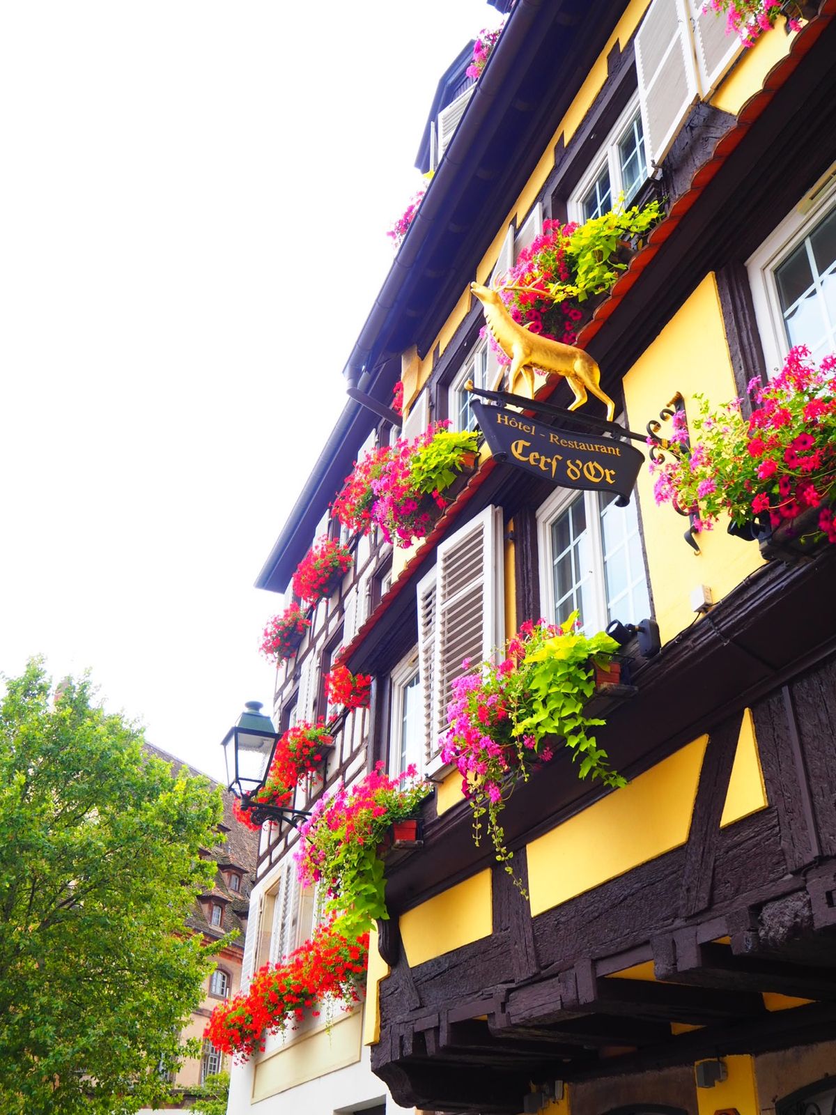 〜ストラスブール〜

ひたすらシャッターを押していたような。
ただ今年はほ...