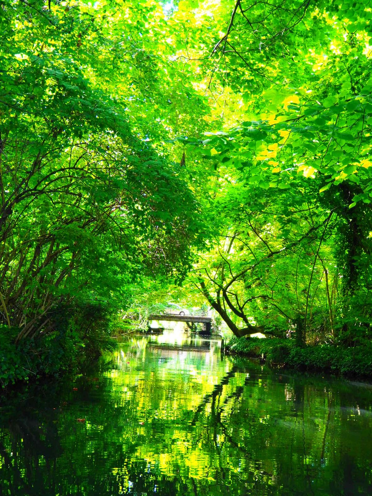 〜コルマール〜

船に絶対に乗ってほしい。
ストラスブールよりコルマールで...