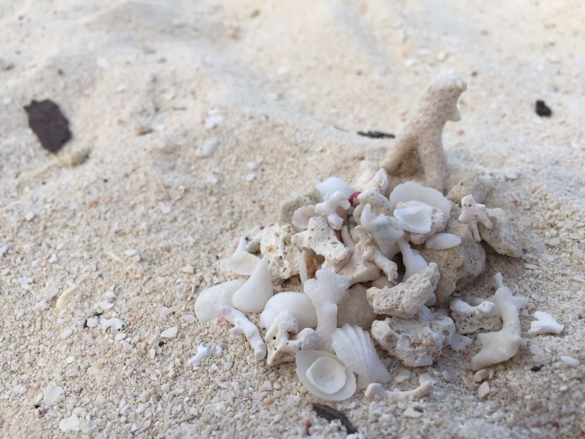 マニャガハ島②

砂浜でベタな落書きをしてみる（笑）