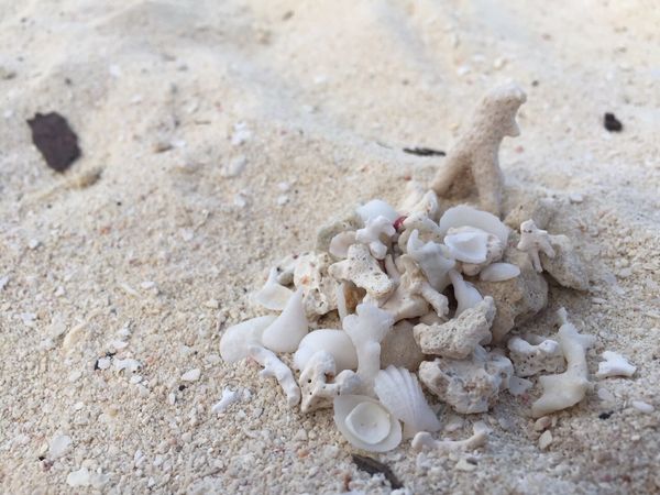 北マリアナ諸島・サイパン「サイパン」の写真：マニャガハ島②

砂浜でベタな落書きをし...