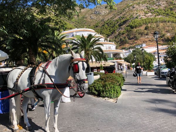 スペイン・バルセロナ「スペイン」の写真:granadaへの移動途中に立ち寄ったM...