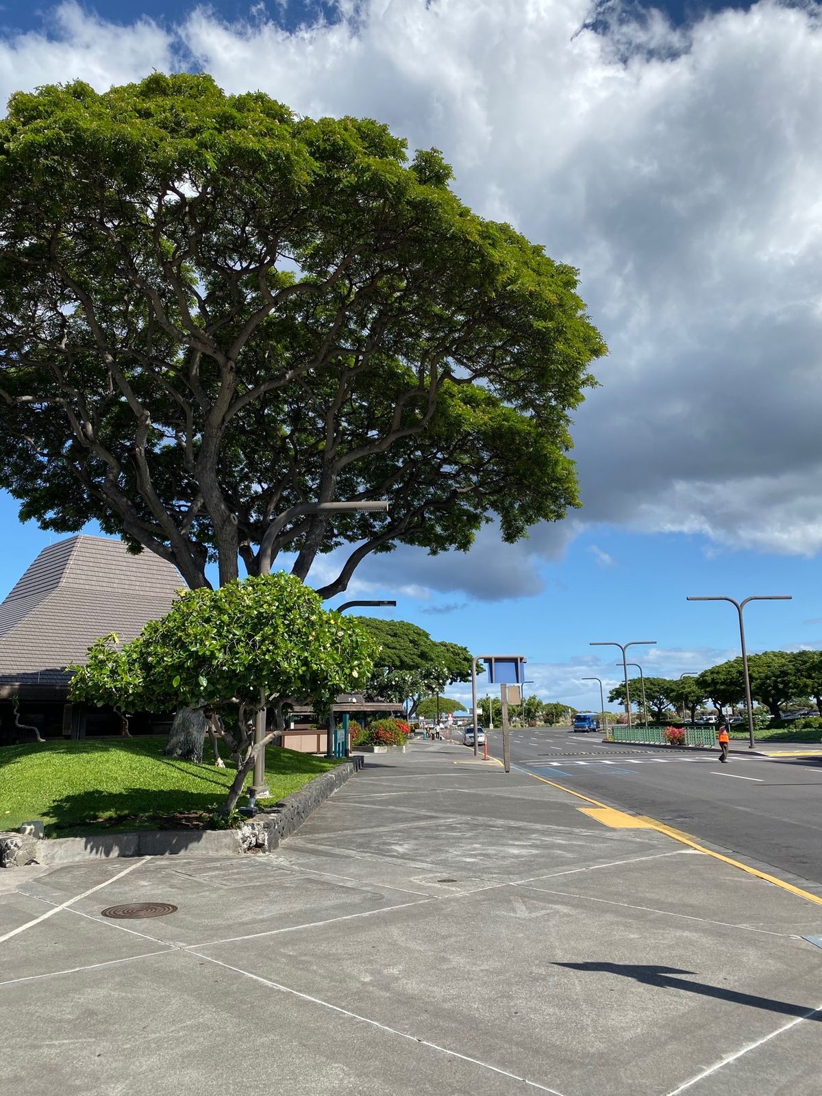 ハワイ島到着〜。機内では爆睡。

これからドライバーさんとだ合流なんだけど...