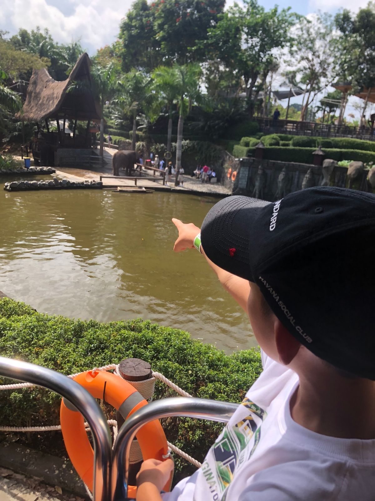 BALI ZOO🦜

象さん乗ったよ🐘
鳥のshowがおもしろかった🤣