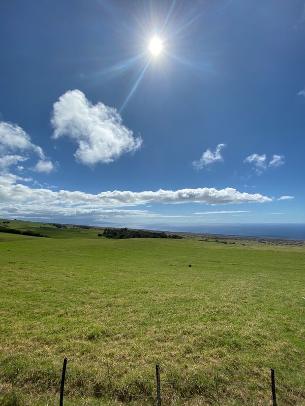 アメリカ(米国)・ハワイ「ハワイ島 星空の旅」の写真:草原〜