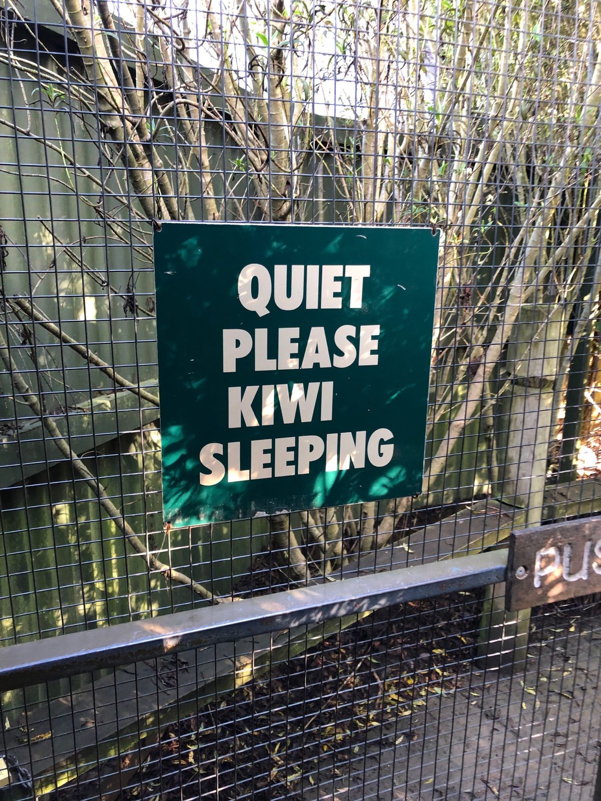 ウィラーバンク動物園のキウイ。
暗くて探すのが大変でした。