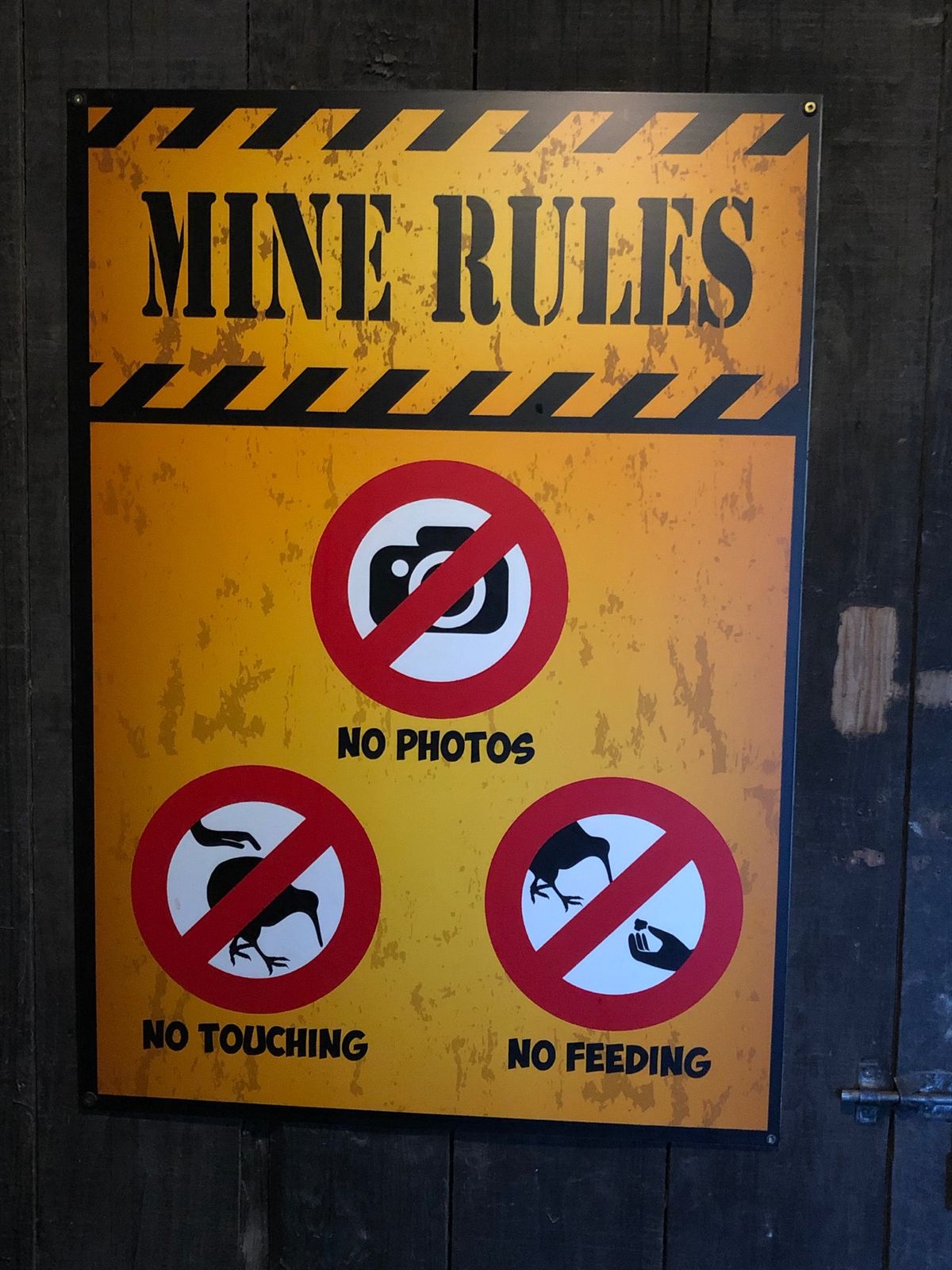 ウィラーバンク動物園のキウイ。
暗くて探すのが大変でした。