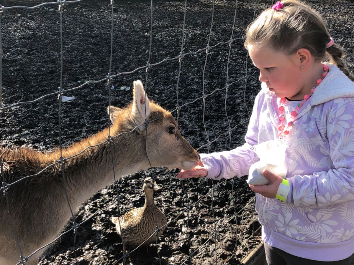 ウィローバンク動物園。
距離近っっ！