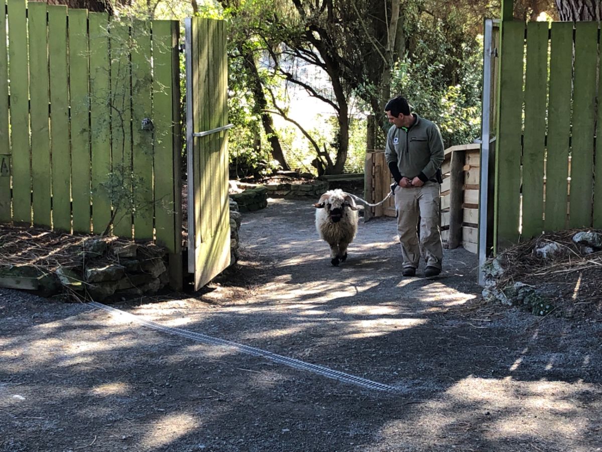 お散歩から帰ってきました。