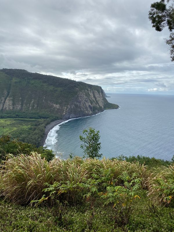 アメリカ(米国)・ハワイ「ハワイ島 星空の旅」の写真:ホノカアの町を通り過ぎて、ワイピオ渓谷へ...