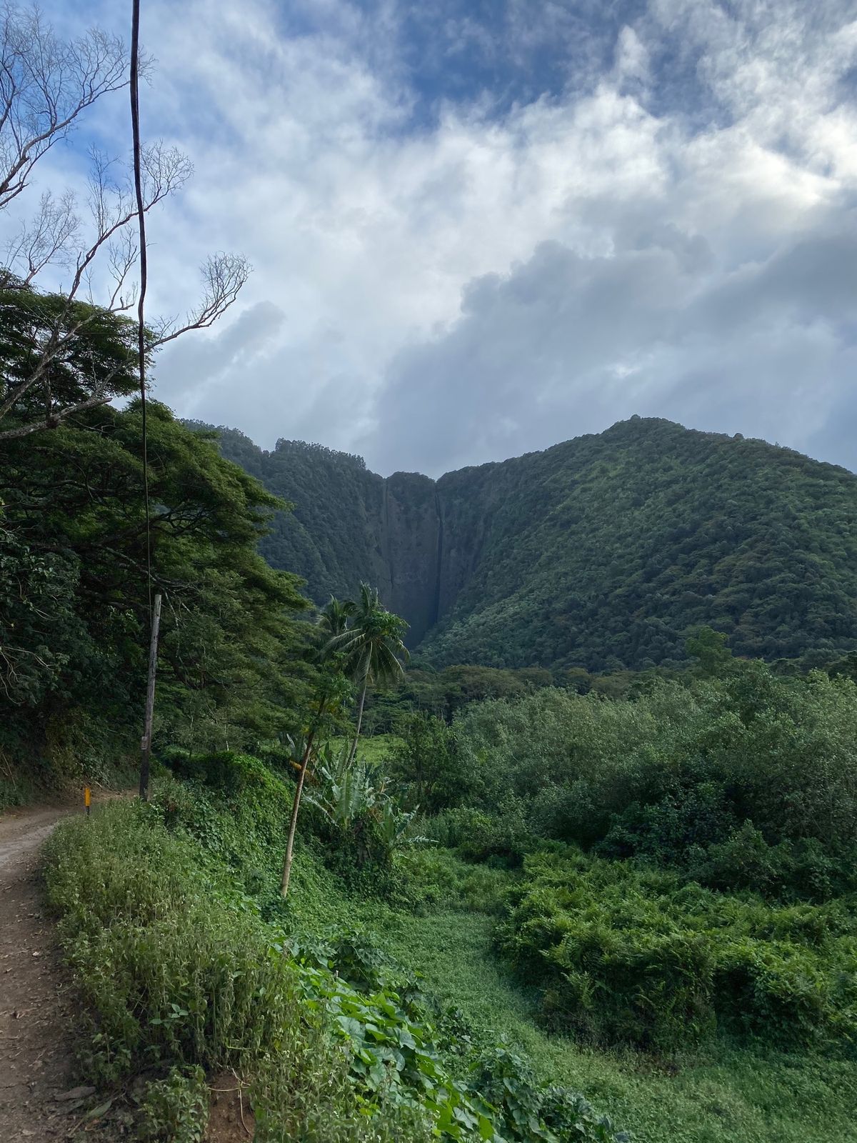 凄まじい下り坂を、足をプルプルさせながら降りる。かなりきついので、膝の弱い...