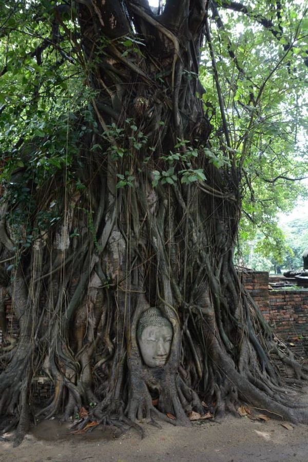 タイ・バンコク「タイ」の写真