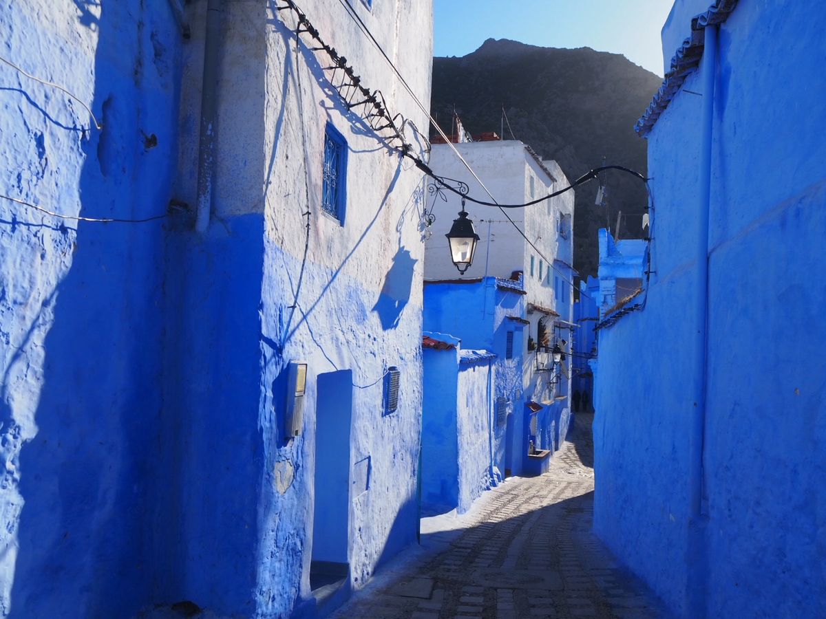 青い街シャウエン
猫🐈たくさんいた