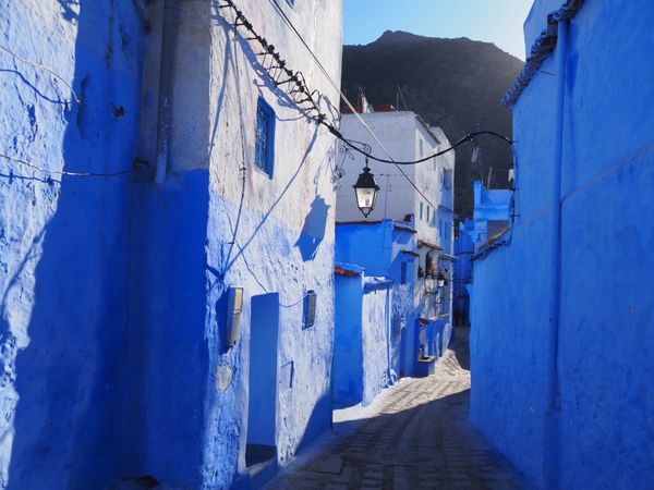 モロッコ・シャウエン、フェズ、メルズーカ、マラケシュ「モロッコ🇲🇦 魅惑溢れる周遊の旅」の写真：青い街シャウエン
猫🐈たくさんいた