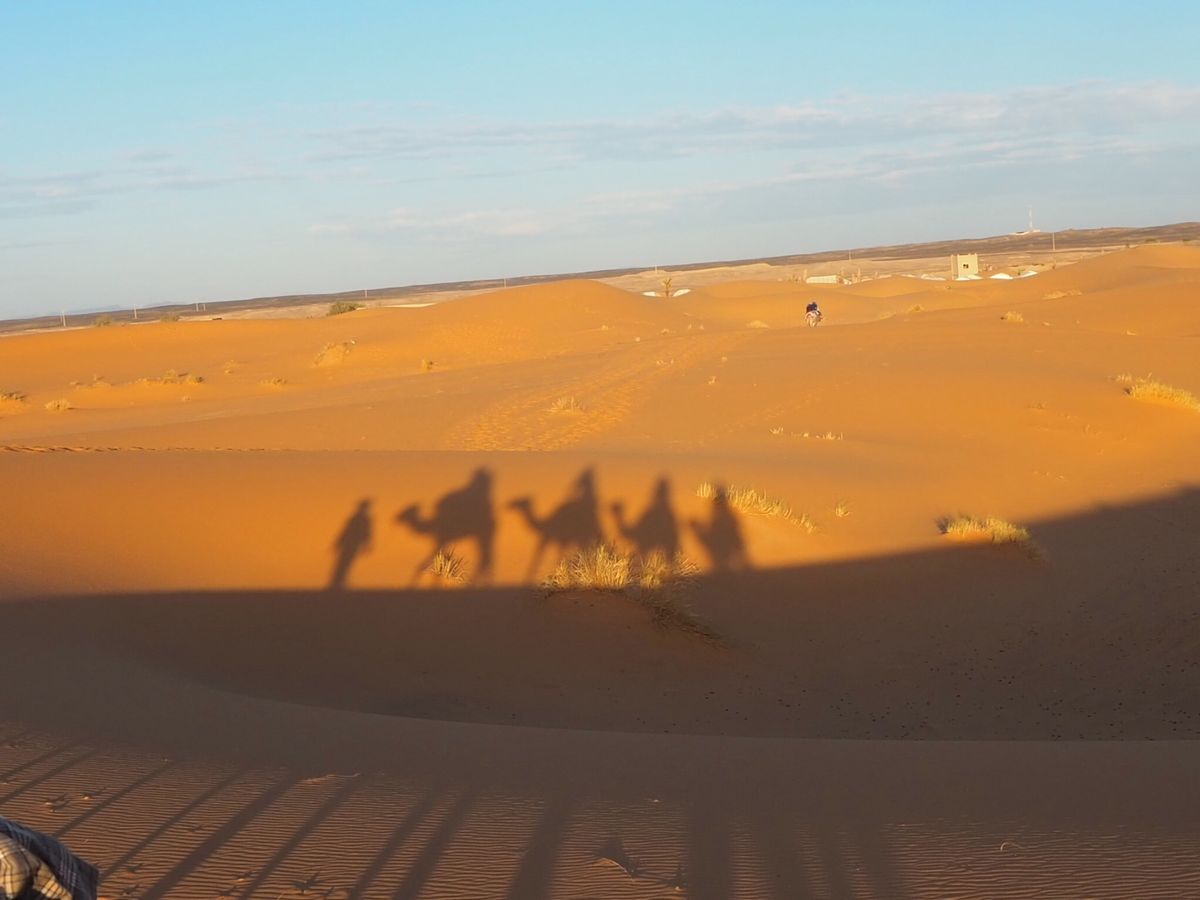 ラクダ🐪に乗ってサハラ砂漠からの朝日鑑賞🏜