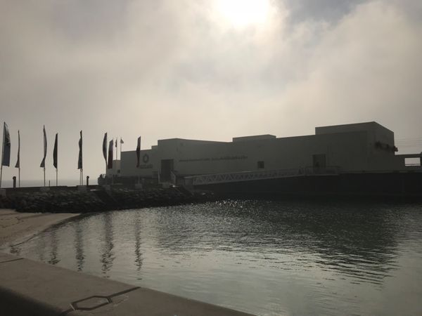 カタール・ドーハ「カタール　ドーハ　乗り継ぎの合間のショートステイ」の写真：ドーハの街並み
砂漠近くだからかとても霞...