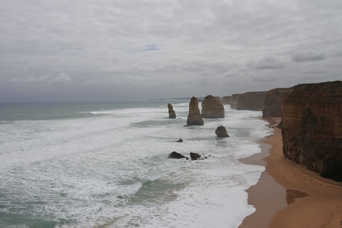 有名な十二使徒
野生のカンガルーを発見