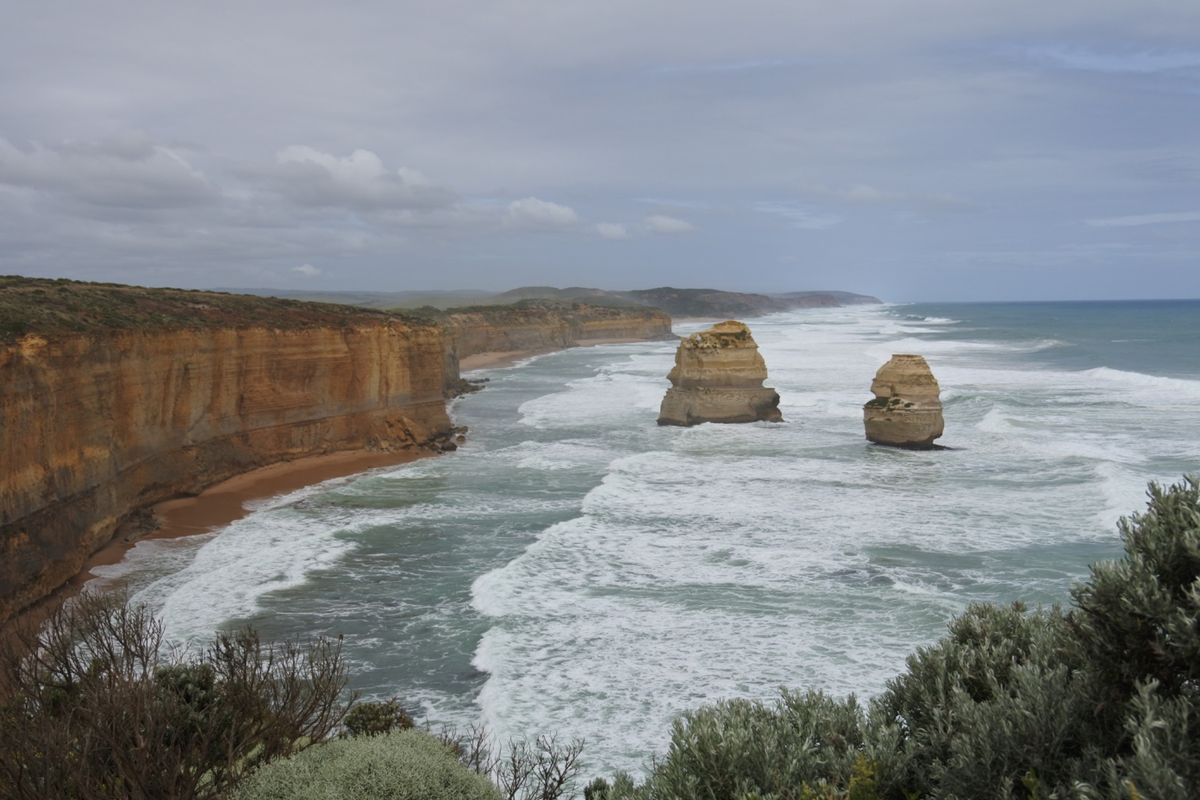 有名な十二使徒
野生のカンガルーを発見