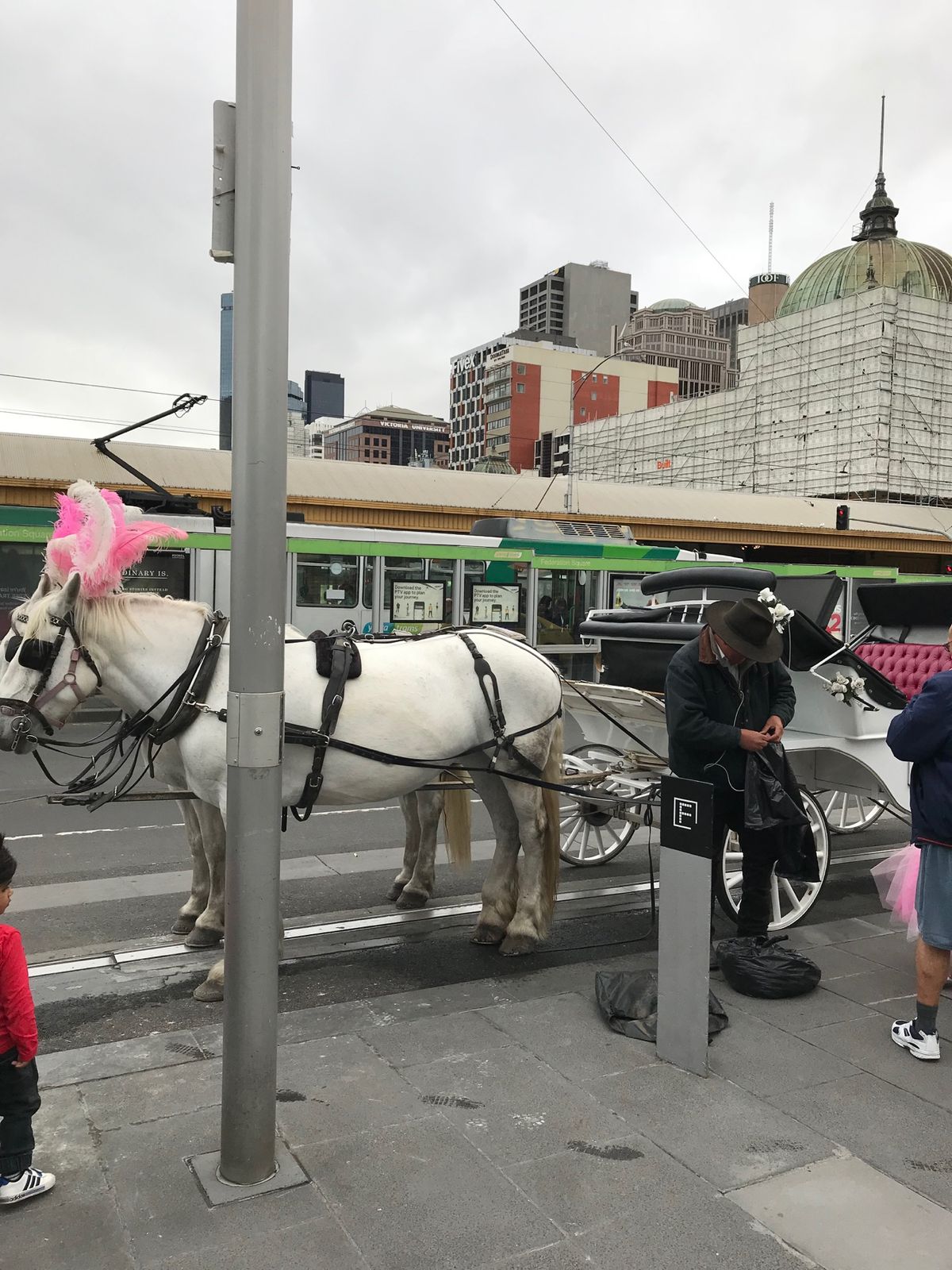 有名なフリンダーストリート駅が修復中で見れずに残念。