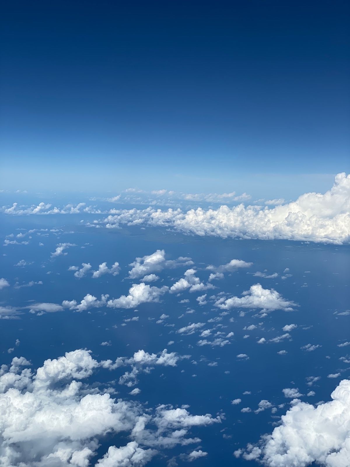 翌朝ABCで買った塩ラーメンを食べる。Uberを呼んで空港に向かう（ハワイ...