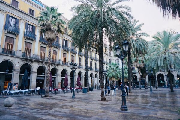 スペイン・バルセロナ マドリード コルドバ トレド モンセラット「スペイン ベタなとこ巡り」の写真