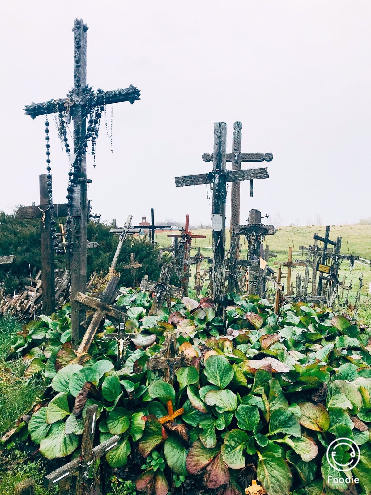 ヴィリニュス 、シャウレイ