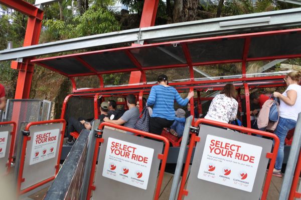 オーストラリア連邦・シドニー「オーストラリア　ブルーマウンテンを訪ねて」の写真：スリル満点のケーブルカー
ジェットコース...