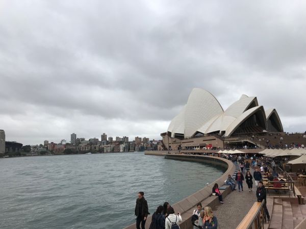 オーストラリア連邦・シドニー「オーストラリア　シドニーとハイムスビーチ」の写真：オペラハウス