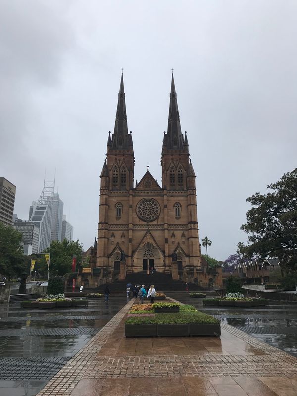 オーストラリア連邦・シドニー「オーストラリア　シドニーとハイムスビーチ」の写真：セントメアリー大聖堂