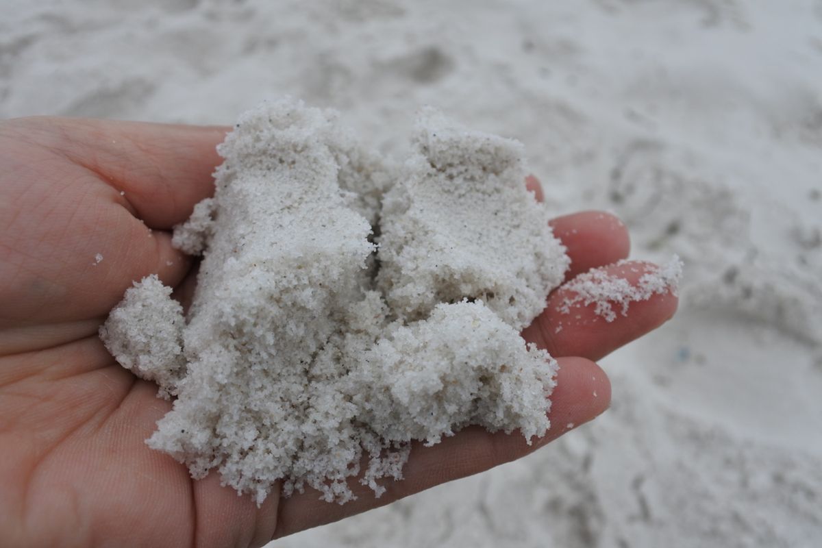 ハイムスビーチ
シドニーから車で3時間弱かけて到着。
かなり真っ白な砂浜。...