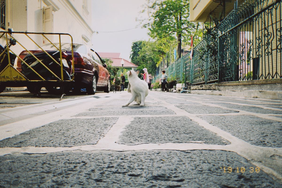 大理石の寺（名前忘れたw）とチャオプラヤー川
ドナルド🍟は合掌スタイル🙏...