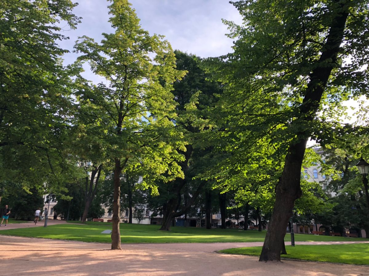 Vanha Kirkkopuisto-
ホテル近くの公園🌲
とても気持ちよ...