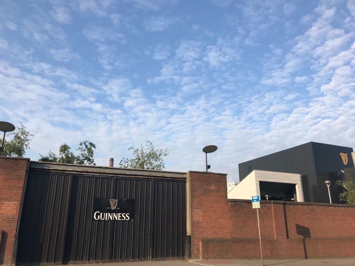 ギネスビールの泡がクリーミー！
世界で最も美しい図書館を見るならダブリン大学に。