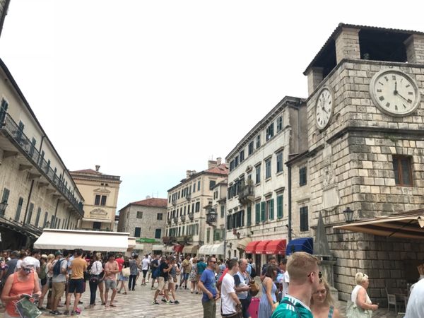 モンテネグロ・コトル「モンテネグロツアー参加！」の写真：コトルは山からの絶景が有名だが、時間がな...