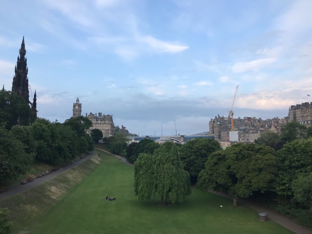 豚とか羊の血とか内臓とかのソーセージ。
好きな人は癖になるらしい。