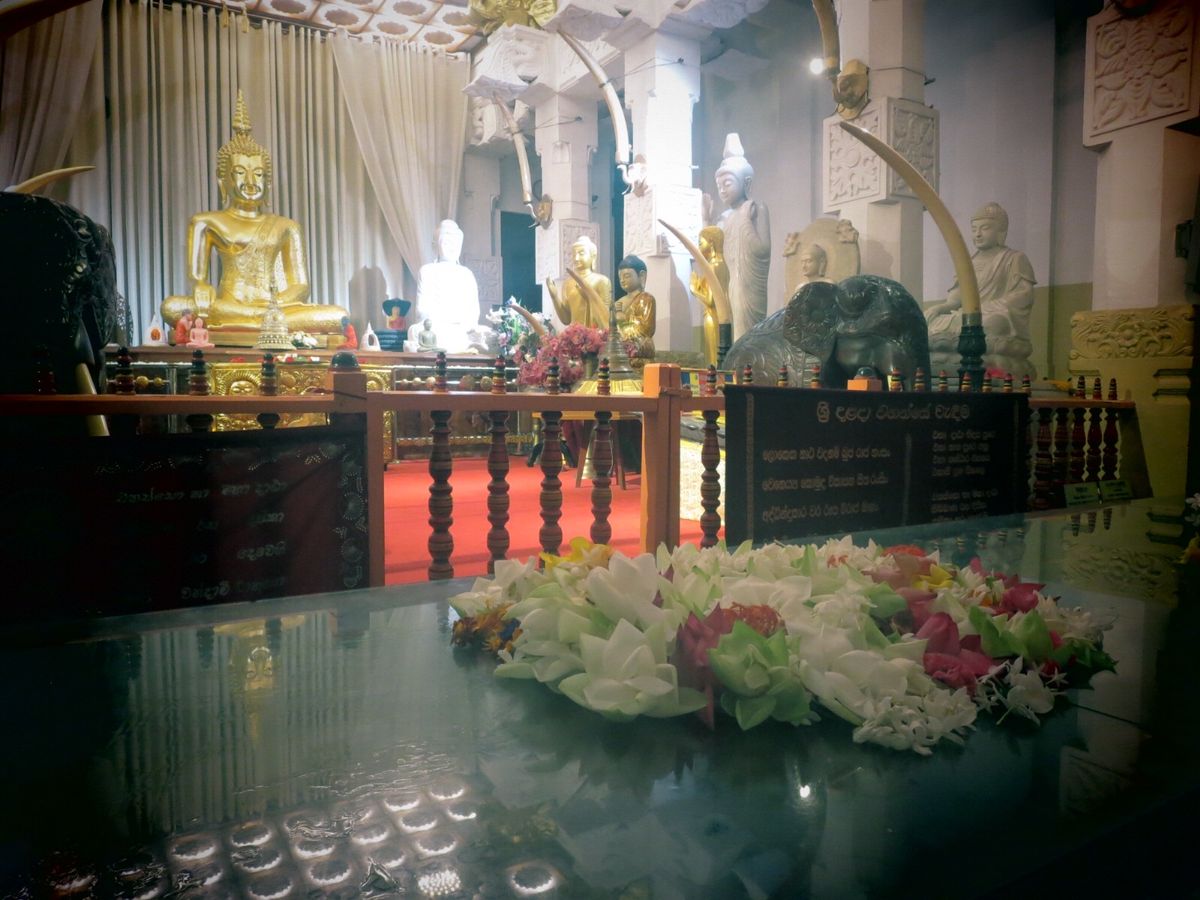 シンガポールから3泊4日でスリランカへ。 
ダンブッラ→シギリヤ→キャン...