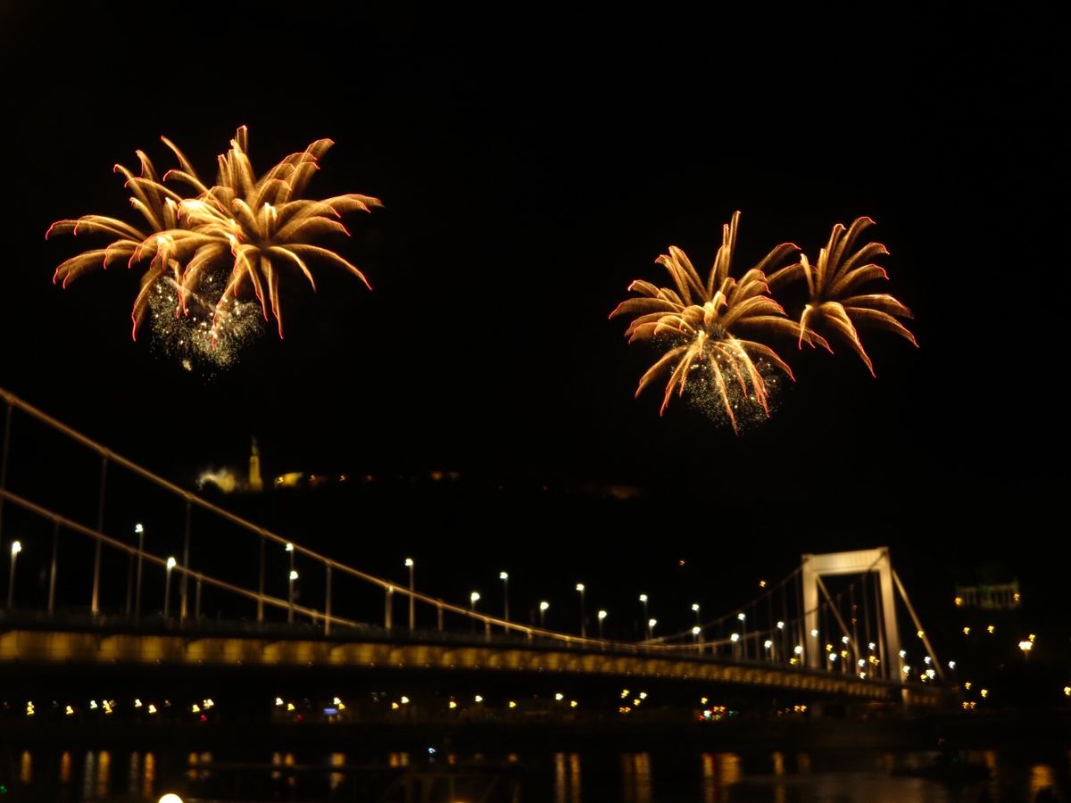 建国記念日にドナウ川の夜景の中に上がる花火は美しく、幻想的な景色です✨
こ...